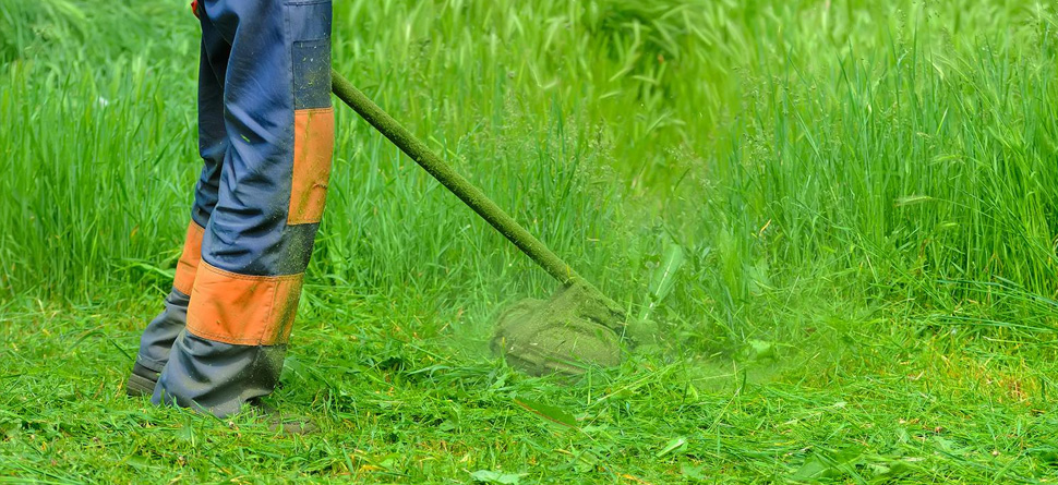 DESSOUCHAGE ET DÉBROUSSAILLAGE